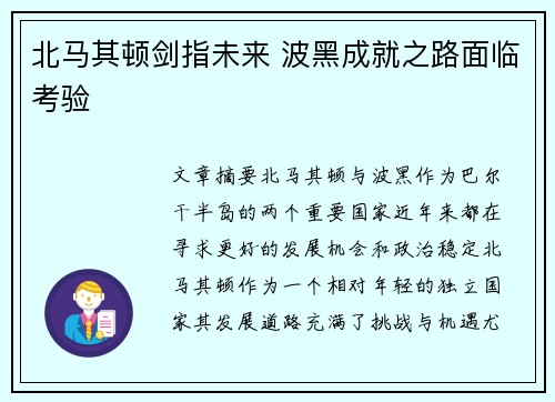 北马其顿剑指未来 波黑成就之路面临考验