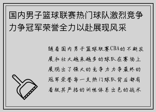 国内男子篮球联赛热门球队激烈竞争力争冠军荣誉全力以赴展现风采