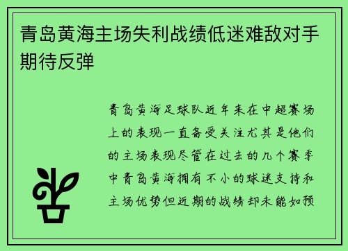 青岛黄海主场失利战绩低迷难敌对手期待反弹